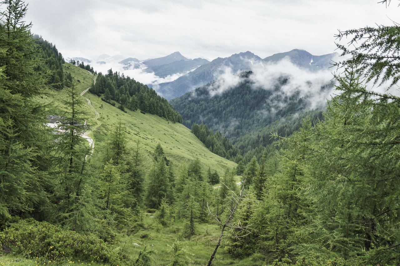 Gasthaus Furlhuette Vipiteno Zewnętrze zdjęcie